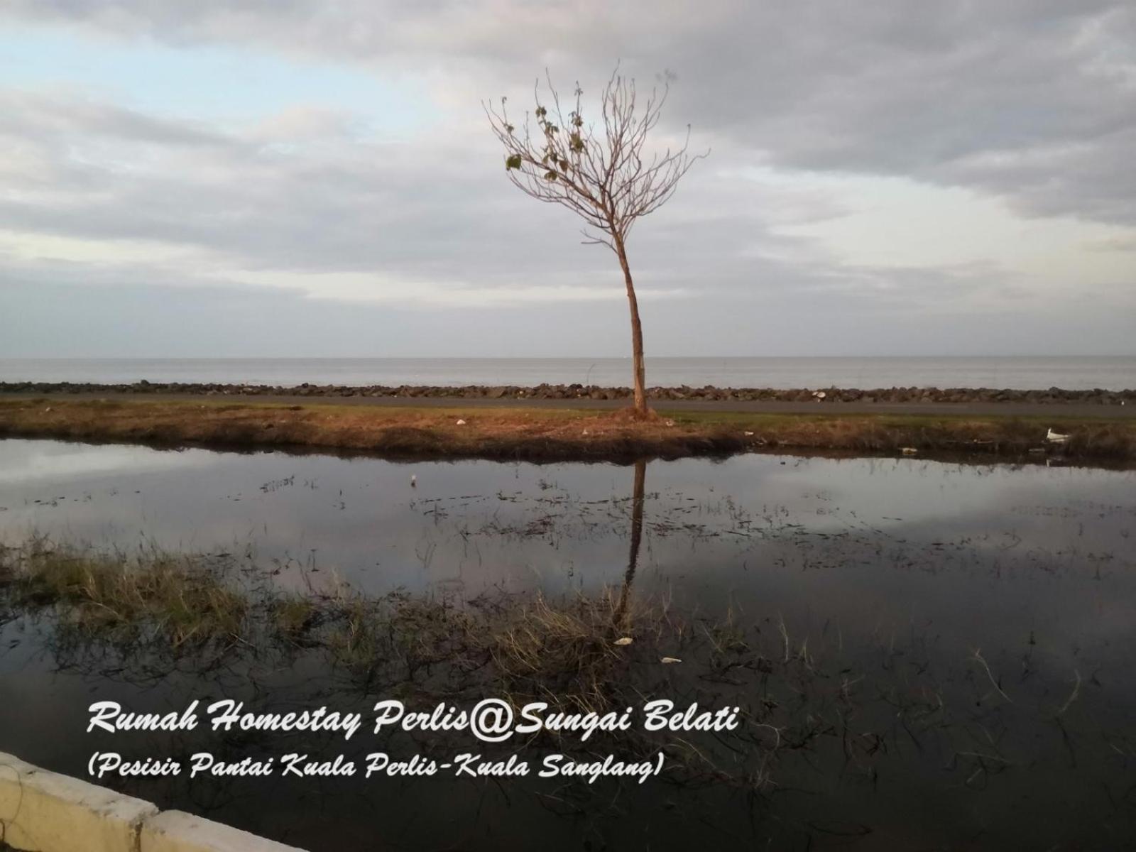 Rhumah Sungai Belati Villa Simpang Empat  Bagian luar foto
